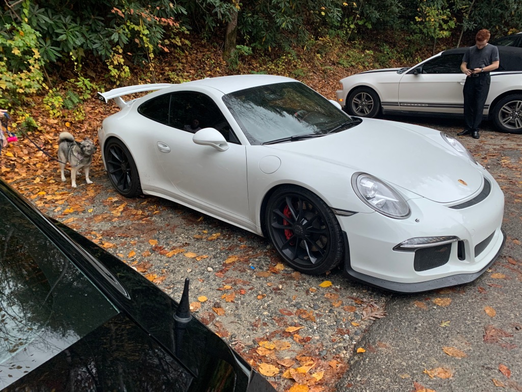 Lady appears to be a fan of the GT3